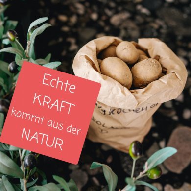 Ernährungscoaching | Kochschule, Gesundheit | Kati-Prusta | vegan | Angela Jung Ayurveda Düsseldorf